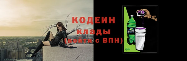 прущие грибы Фурманов