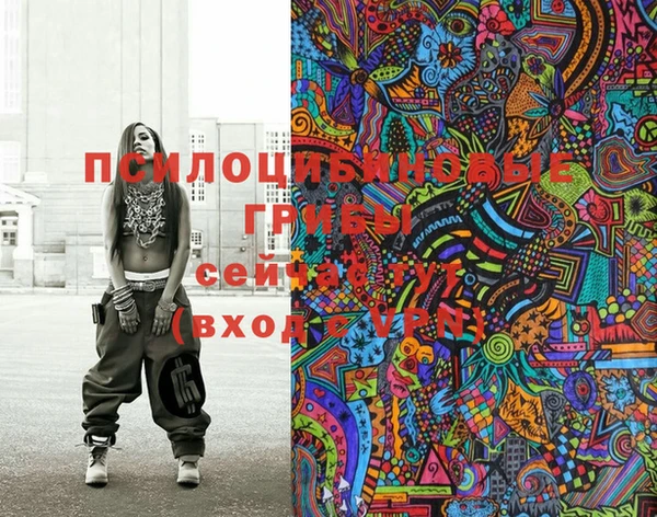 МДПВ Верхний Тагил