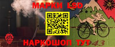 ешки Будённовск