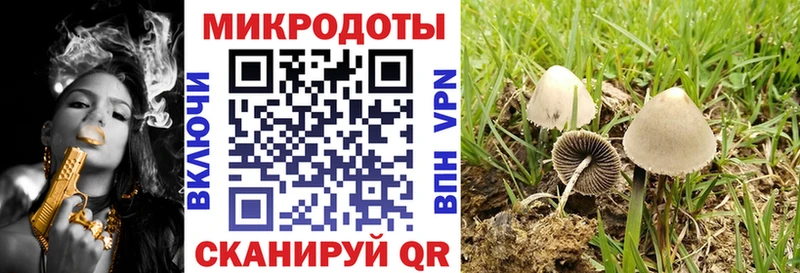 даркнет формула Звенигород Галлюциногенные грибы Cubensis