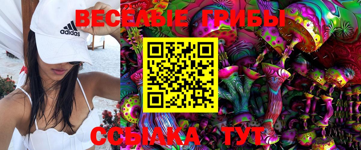 Псилоцибиновые грибы Magic Shrooms Звенигород