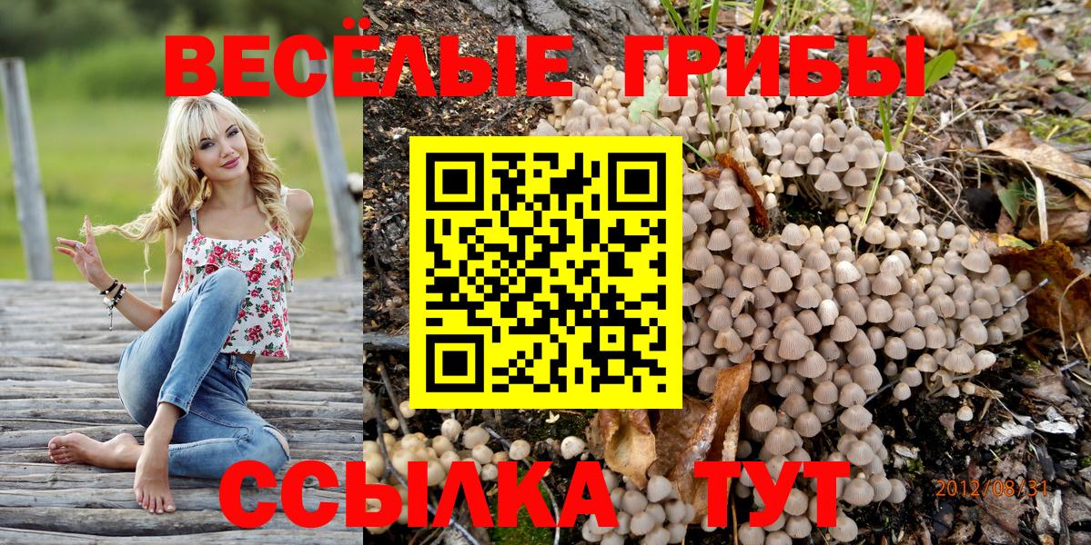 Галлюциногенные грибы ЛСД Звенигород