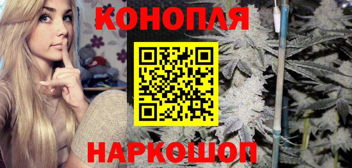 Конопля гибрид  Вход с VPN  Звенигород  Каннабис конопля  Шишки марихуана планчик 